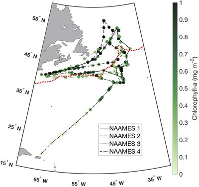 Phytoplankton Community Composition Determined From Co-variability Among Phytoplankton Pigments From the NAAMES Field Campaign